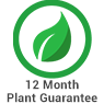 12 Month Plant Guarantee