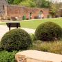 Mature Yew Topiary Balls In Garden
