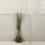 (Crataegus monogyna) Hawthorn 90/120cm bare root
