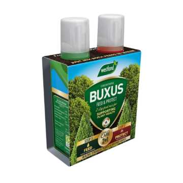 Westland 2 in 1 Feed and Protect for Buxus