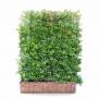 Hedging Screens from Hedges Direct