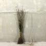 (Crataegus monogyna) Hawthorn 60/90cm bare root