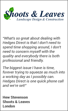 Why Trade Customers Use Hedges Direct