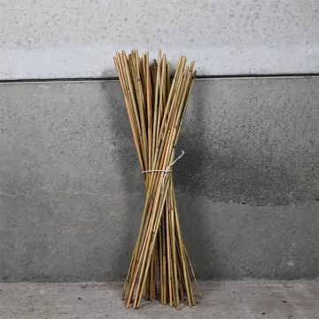 Canes 90cm x 250