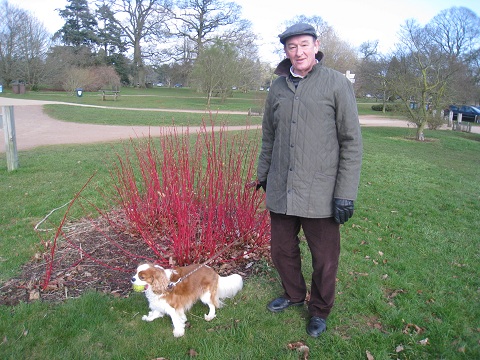 David Charlie and Dogwood