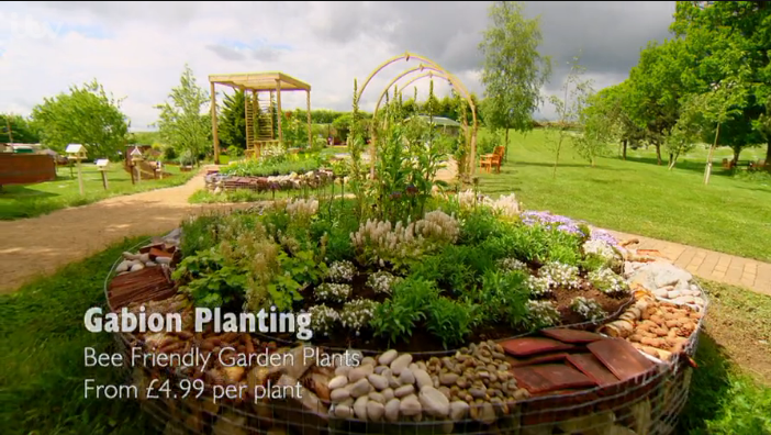 Bee friendly garden plants