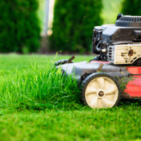 Garden maintenance