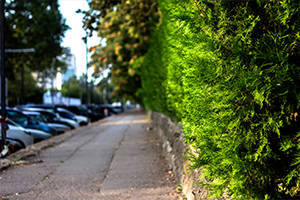 Environmental Benefits