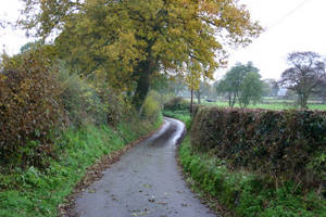 Stabilise Land