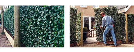 Green Solutions For Urban Areas or Restricted Space