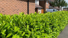What to Do in the Garden in April: How to Get into the Swing of Spring