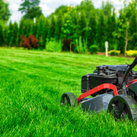 Garden maintenance