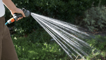 August Garden Jobs: How to Maintain Your Garden in Late Summer