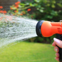 2. Watering