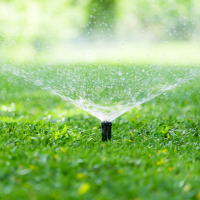 Garden maintenance