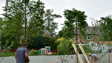 Hedges Direct and Love Your Garden - A Growing Partnership