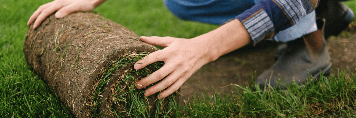 Laying turf