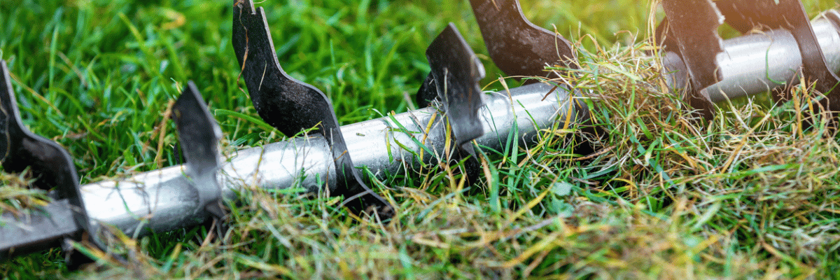 Lawn scarifier