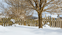 What to Do in the Garden in December: Winter Gardening Jobs
