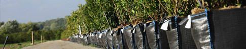 Instant Hedging